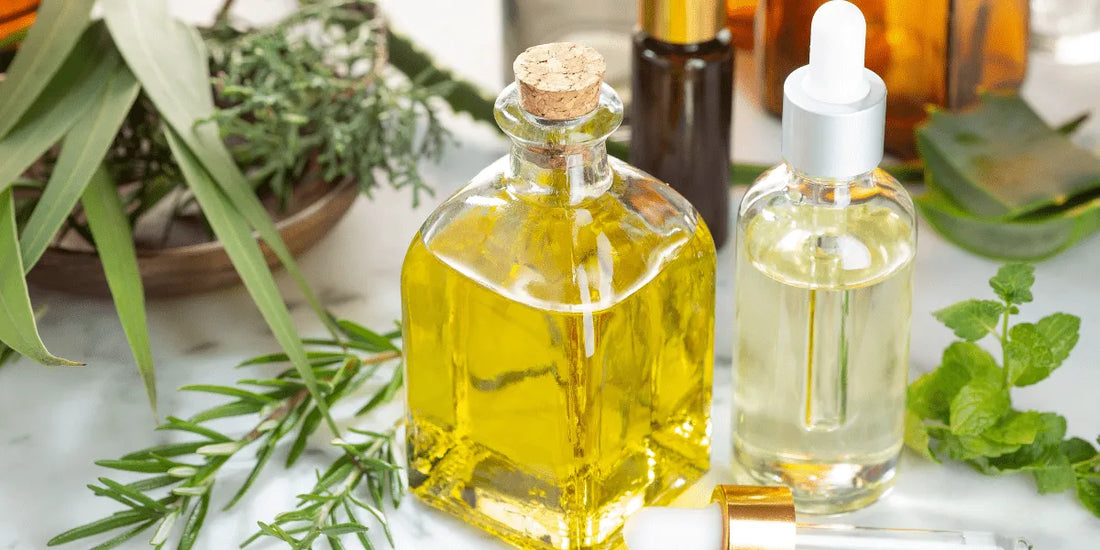 Rosemary Oil vs Minoxidil: Which Is Better for Hair Growth?